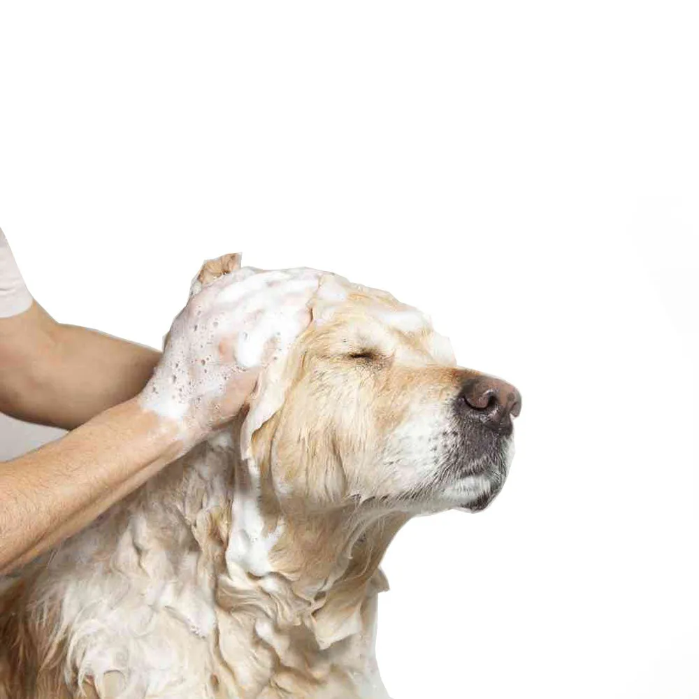 3 Pc Oatmeal Pet Shampoo Enhanced Kit Conditioner Deodorizing Bath Dog Cat 17Oz