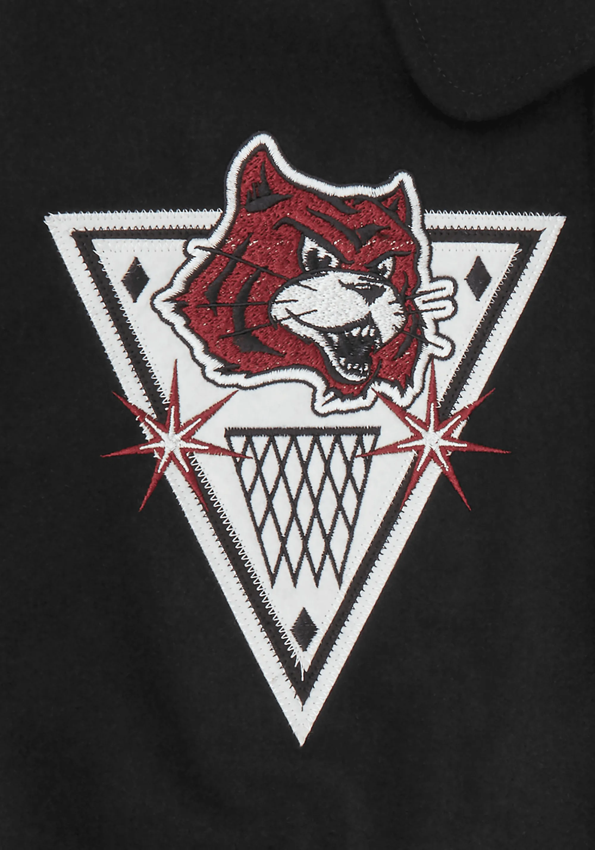 Alumni Collared Varsity Jacket