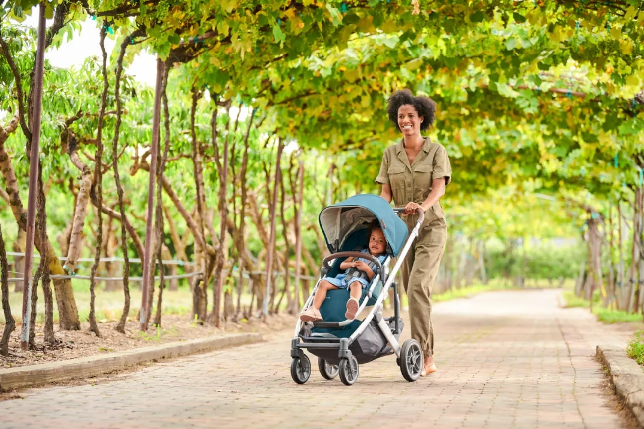 Cruz V2 Stroller by UPPAbaby