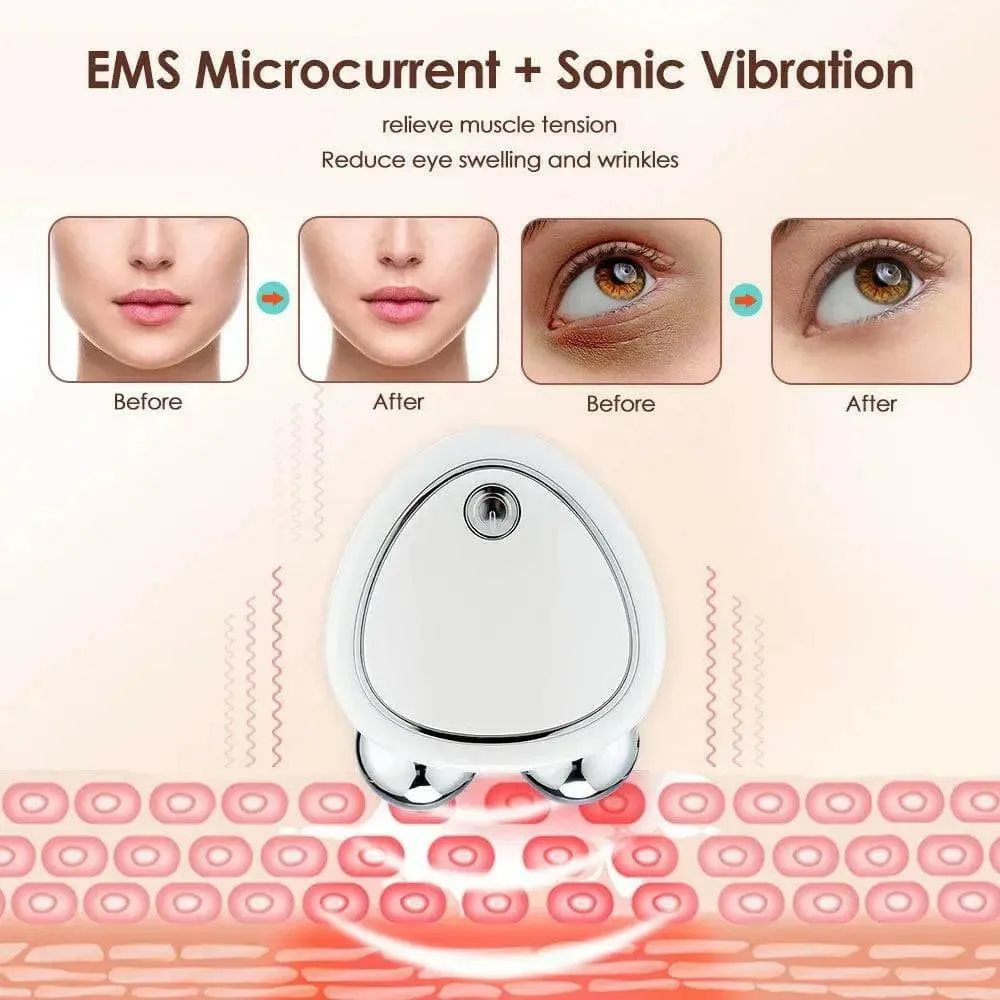 EMS Facial Skin Care Ice Roller Face Massagers for Microcurrent Face Lift Tighten Machine Electroporator Galvanic Beauty Device