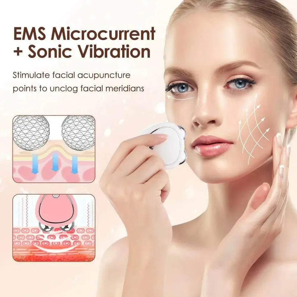 EMS Facial Skin Care Ice Roller Face Massagers for Microcurrent Face Lift Tighten Machine Electroporator Galvanic Beauty Device