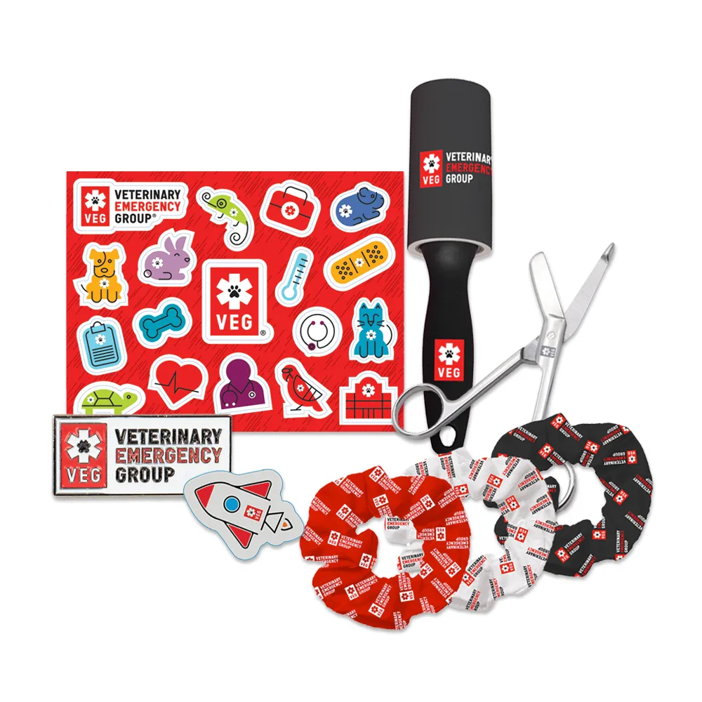 Student Ambassador Swag Package 2024