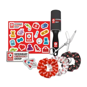Student Ambassador Swag Package 2024