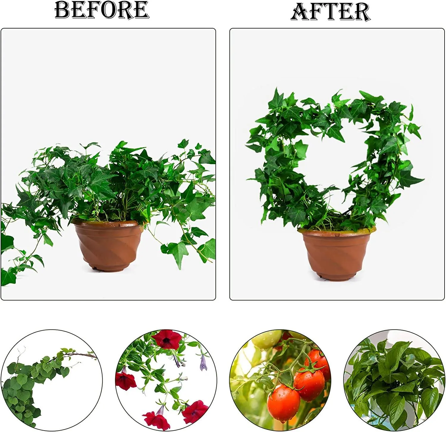 Urban Plant Heart Shaped Trellis for Climbing Plants - (Pack of 2)